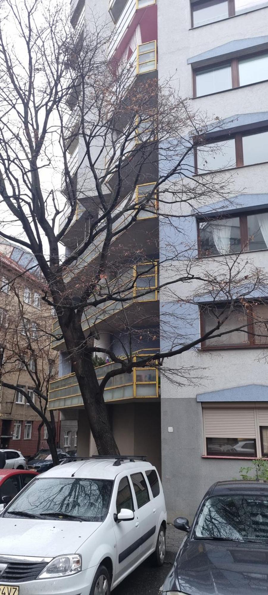 Huge Apartment Next To Train Station Close To The City Center Bratislava Exteriér fotografie